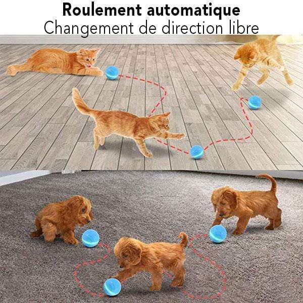 COMBAL™: Smart Animated Ball for Pets