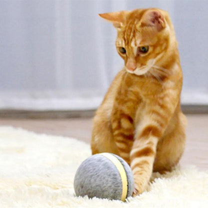 COMBAL™: Smart Animated Ball for Pets