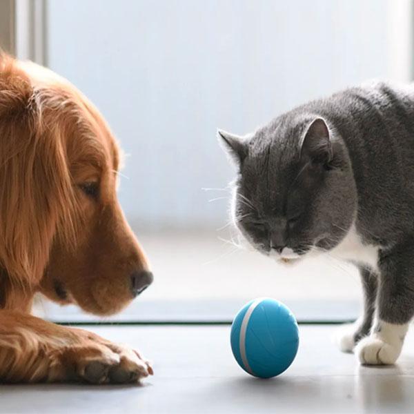 COMBAL™: Smart Animated Ball for Pets