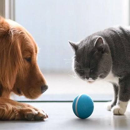 COMBAL™: Smart Animated Ball for Pets