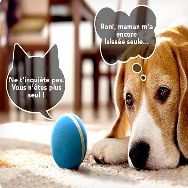 COMBAL™: Smart Animated Ball for Pets