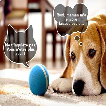 COMBAL™: Smart Animated Ball for Pets