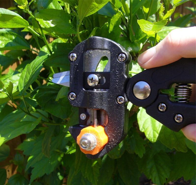 GREFFS™ - Grafting Scissors for Your Garden (Professional Tool)