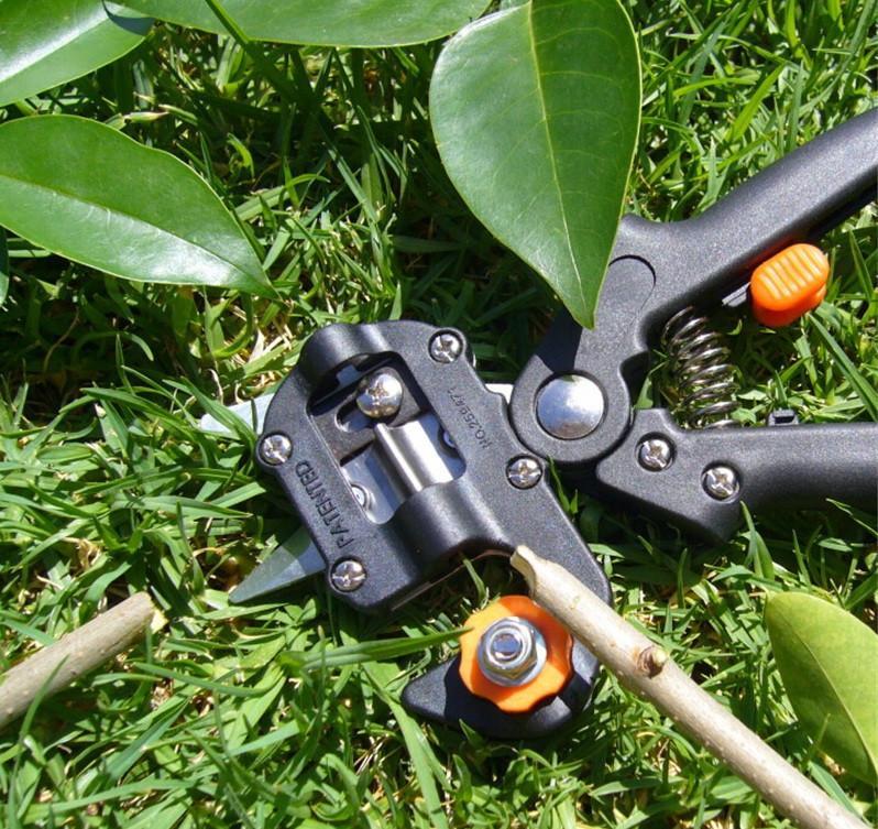 GREFFS™ - Grafting Scissors for Your Garden (Professional Tool)